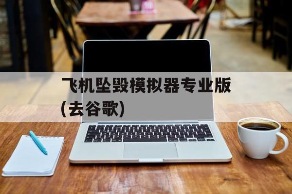 飞机坠毁模拟器专业版(去谷歌)