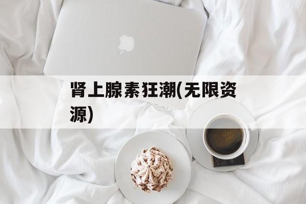 肾上腺素狂潮(无限资源)