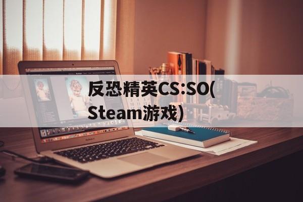 反恐精英CS:SO(Steam游戏) 反恐精英CS:SO(Steam游戏)