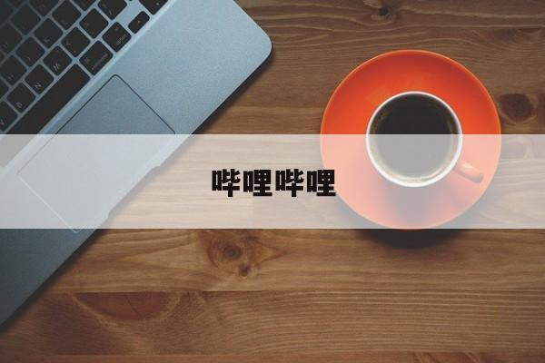 哔哩哔哩