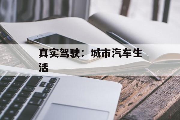 真实驾驶：城市汽车生活
